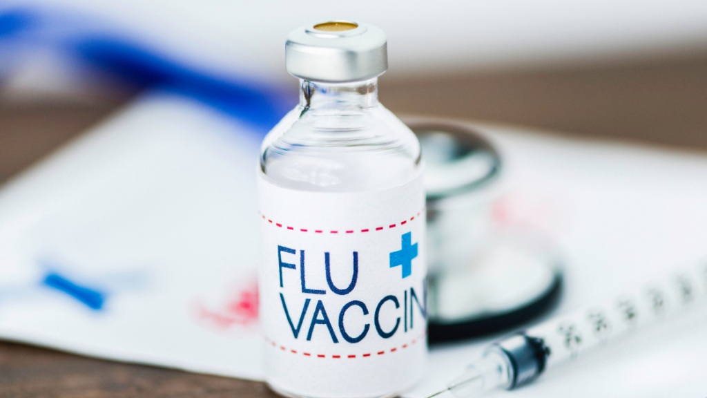 NHS flu immunisation programme 2022-2023